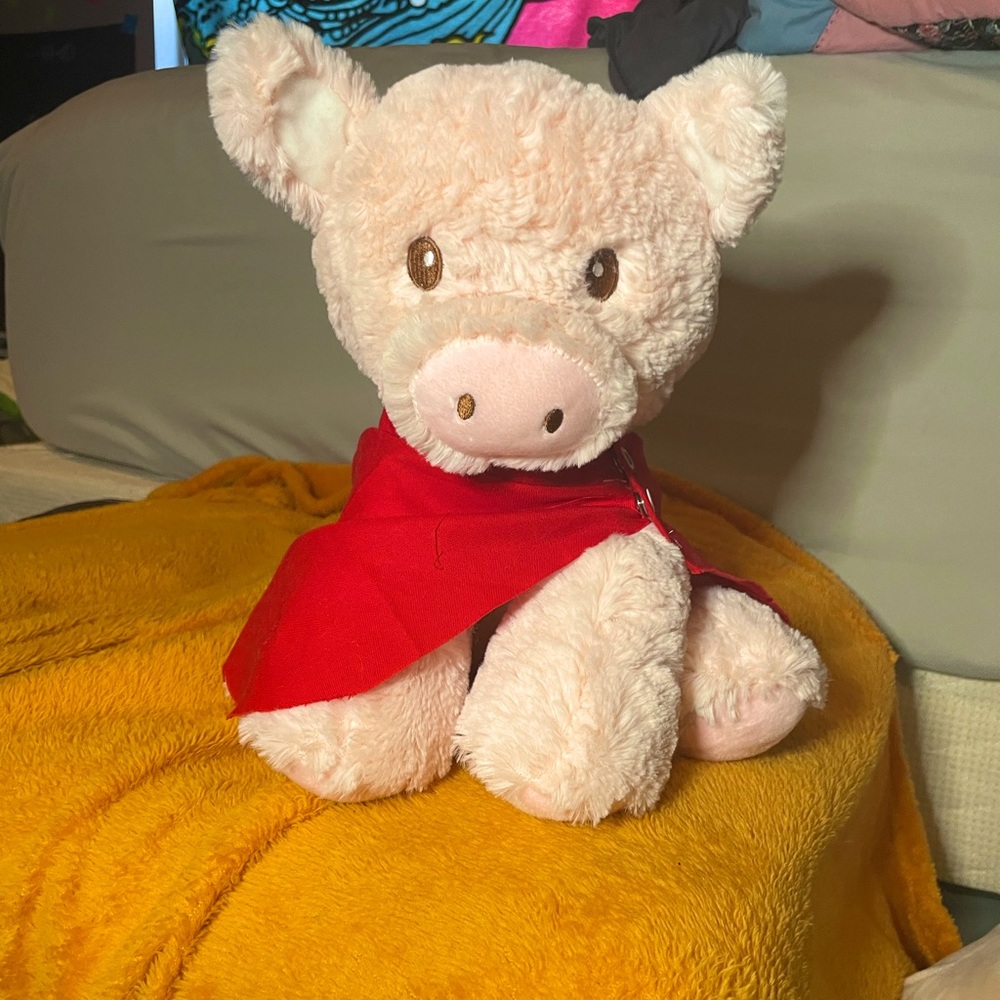 Pink pig plushie